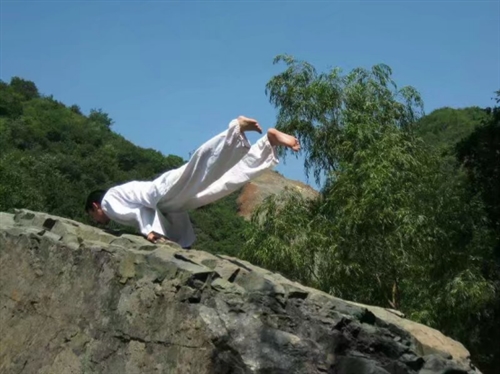 博鱼电竞app下载瑜伽教练培训哪里好——中国最专业的瑜伽教练培训学校(图3)