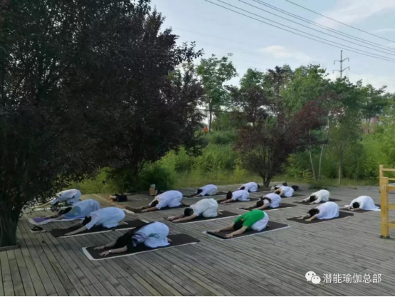 中国最好的瑜伽教练培训有何不同：潜能瑜伽瑜伽嫡传班招生简介(图16)