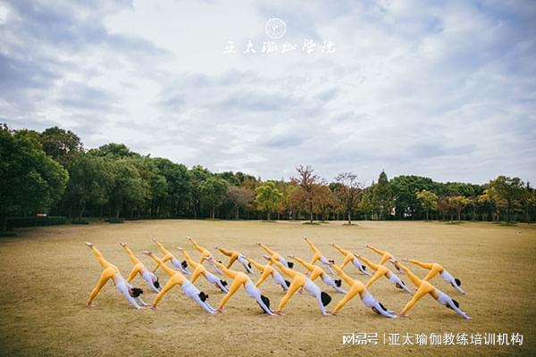 中国瑜伽联盟培训学院(图2)
