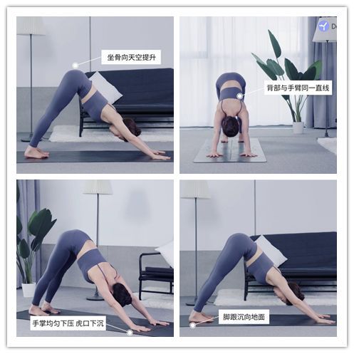 博鱼电竞app下载4个瑜伽体式改善身体疲劳每天15分钟就够了(图10)