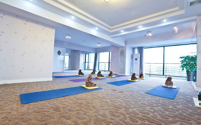 杭州瑜伽教练培训妮·玛瑜伽专业瑜伽教练人才孵化基地(图2)