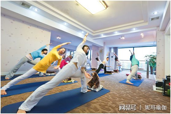杭州瑜伽教练培训班多如牛毛如何选择是关键(图3)